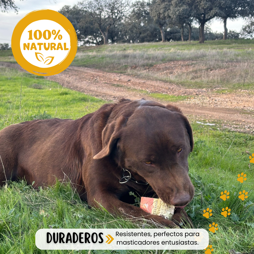 Asta de ciervo para perros, tamaño comparativo