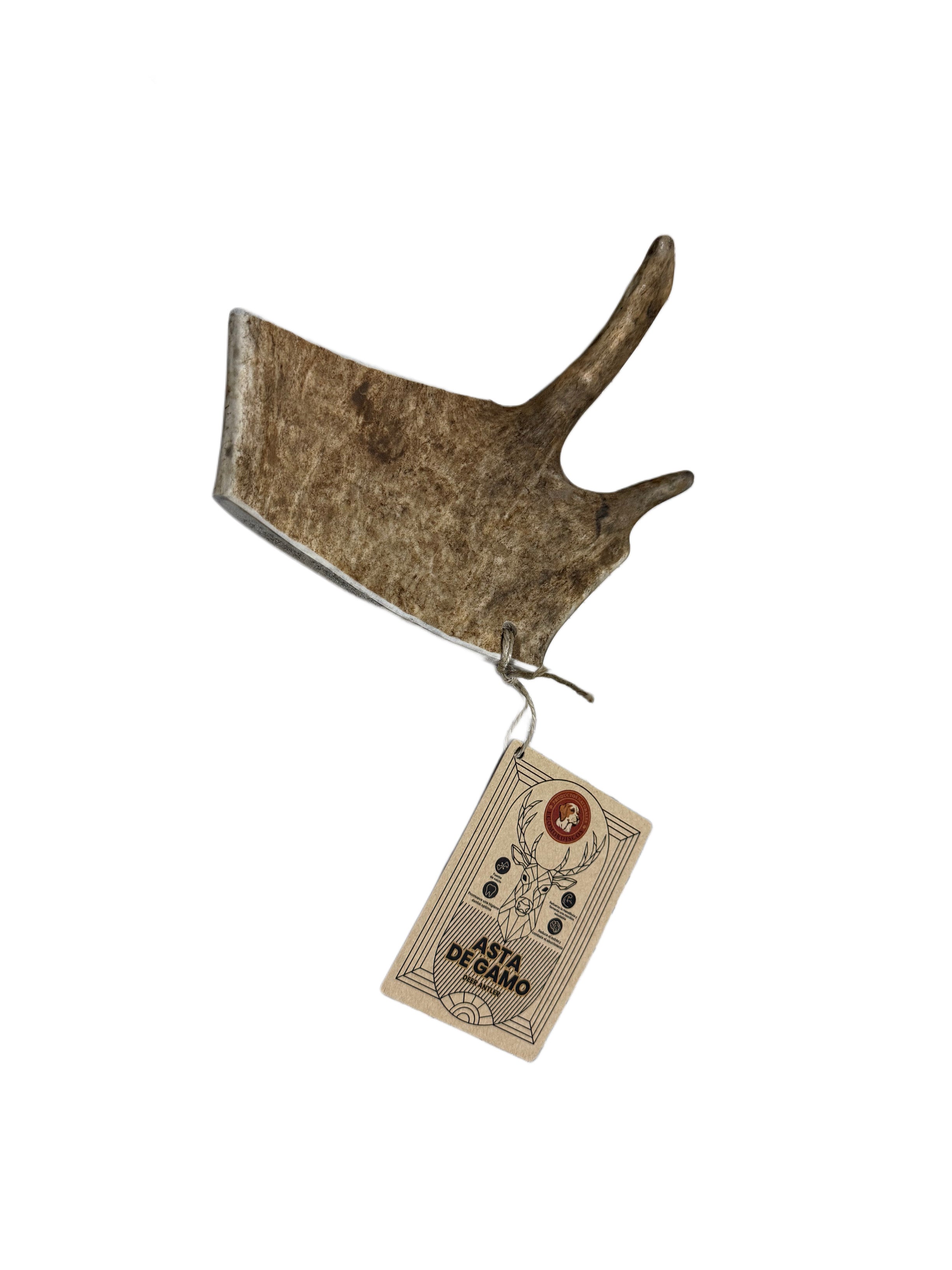 Asta de gamo para perros, detalle de textura natural