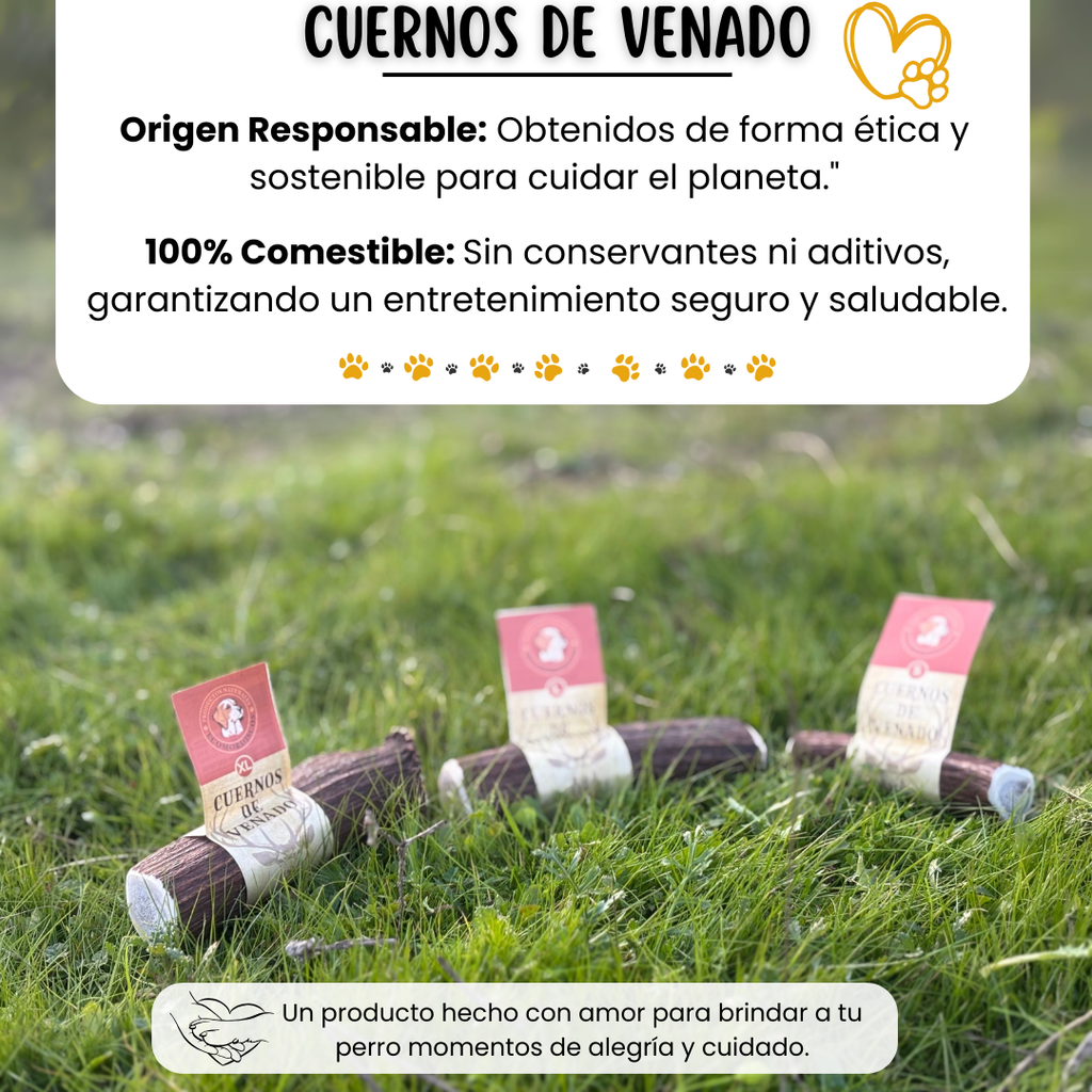 Asta de ciervo para perros en distintas tallas