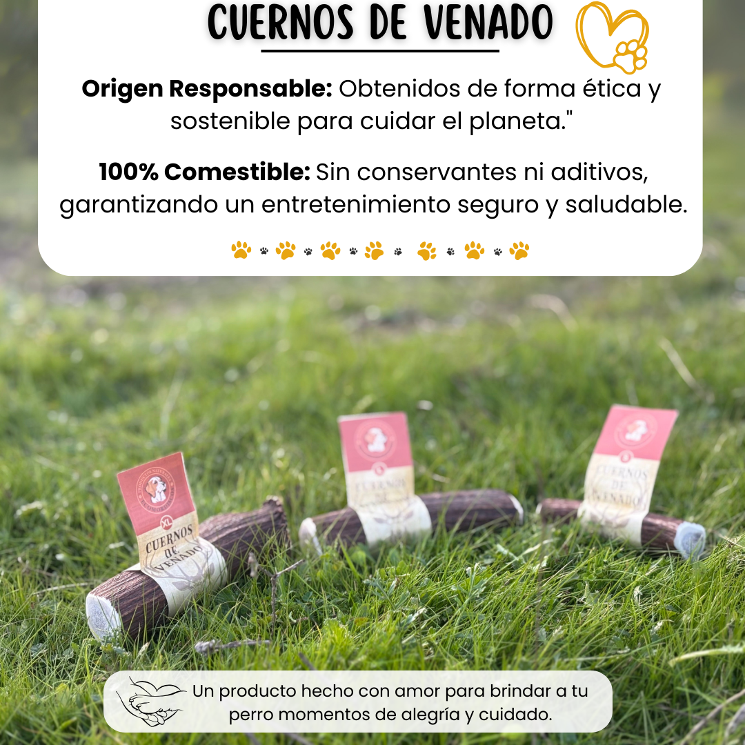 Asta de ciervo para perros en distintas tallas
