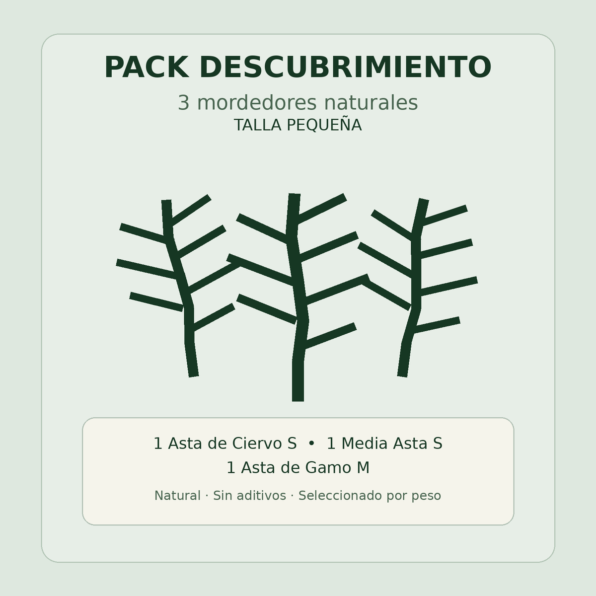 Pack Descubrimiento Ecomordiscos — 3 mordedores naturales talla pequeña