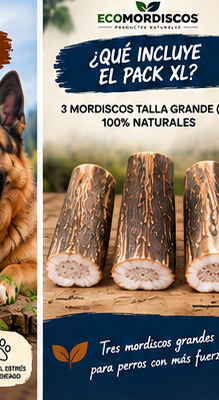 Pack XL Ecomordiscos — contenido del pack